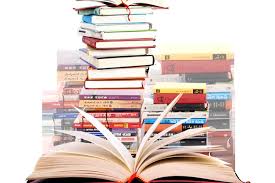 Д-р Шишков е профилиран в изграждането на цялостни индивидуални лечебно-профилактични и оздравителни програми, както и на диетични планове, насочени към преодоляване на здравословни проблеми и достигане на състоянието на „оптимално здраве“.